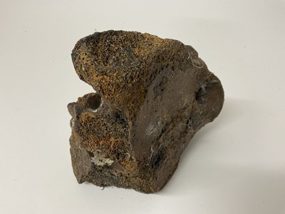 Lot 72 - Large unidentified partially fossilised bone