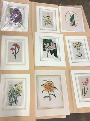 Lot 804 - Collection of mostly early 19th century hand coloured botanical engravings, including plates published by T. Curtis 1803, together with a book of botanical prints