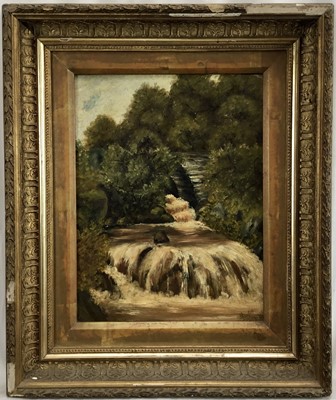 Lot 36 - British school, 19th century oil on canvas, waterfall, signed and dated lower right, 24x31cm
