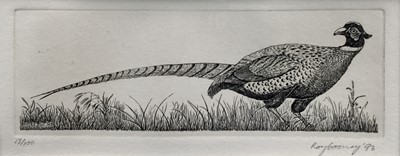 Lot 128 - Roy J.L Cooney: copperplate engraving, pheasant, signed and numbered in pencil, 19x18cm