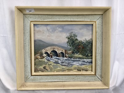 Lot 141 - Audrey Leworthy (Contemporary): oil on board, Dartmouth Bridge, 29x23.5cm