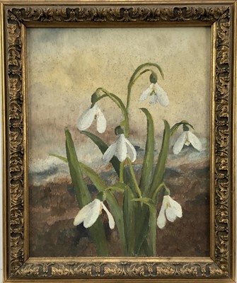 Lot 152 - British school, 20th century oil on board, still life of flowers, 19x24.5cm