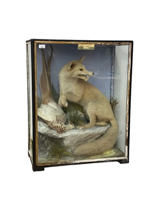 Lot 1255 - Edwardian glazed case containing a fox with a pheasant, upon a rock, inscribed verso and bearing later plaque