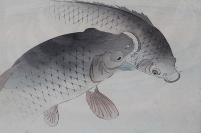 Lot 12 - Ohara Koson (1877-1945) woodblock print - two carp