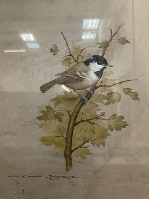 Lot 323 - David Andrews, three original watercolours of birds, framed