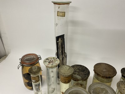 Lot 69 - Gruesome collection of formaldehyde jars containing various alarming specimens