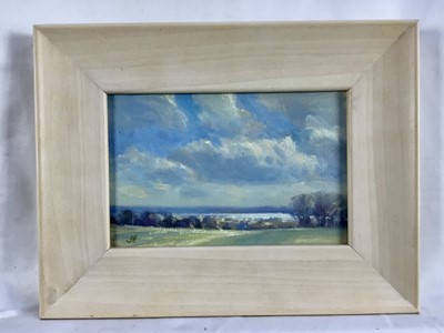 Lot 96 - James Hewitt (b. 1934) oil on canvas - early spring landscape, 'The Distant Blackwater', monogrammed, titled and dated verso 2004, 18cm x 12cm, framed (26cm x 20cm overall)