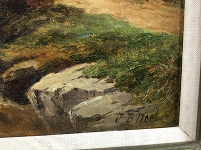 Lot 74 - John Bates Noel (1870-1927) oil on canvas - The Flooded River, Dartmoor, signed, titled verso, 31cm x 46cm, framed