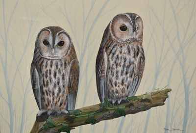 Lot 149 - *Mark Chester (b.1960), acrylic - Young Tawny's, signed, label verso, 26cm x 38cm, in glazed frame