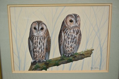 Lot 149 - *Mark Chester (b.1960), acrylic - Young Tawny's, signed, label verso, 26cm x 38cm, in glazed frame