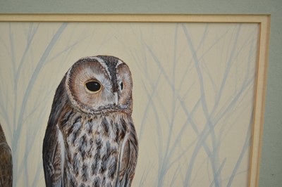 Lot 149 - *Mark Chester (b.1960), acrylic - Young Tawny's, signed, label verso, 26cm x 38cm, in glazed frame