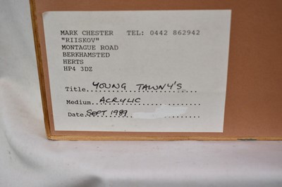 Lot 149 - *Mark Chester (b.1960), acrylic - Young Tawny's, signed, label verso, 26cm x 38cm, in glazed frame