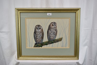 Lot 149 - *Mark Chester (b.1960), acrylic - Young Tawny's, signed, label verso, 26cm x 38cm, in glazed frame