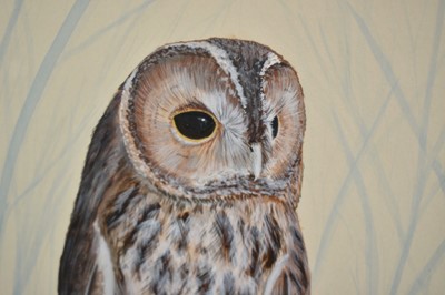 Lot 149 - *Mark Chester (b.1960), acrylic - Young Tawny's, signed, label verso, 26cm x 38cm, in glazed frame