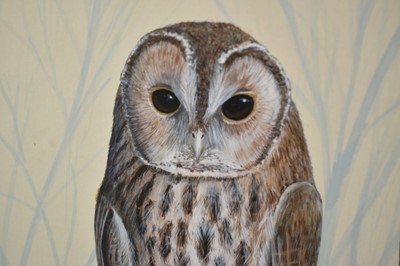 Lot 149 - *Mark Chester (b.1960), acrylic - Young Tawny's, signed, label verso, 26cm x 38cm, in glazed frame