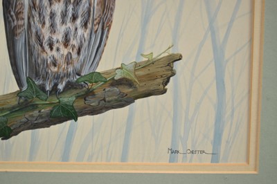 Lot 149 - *Mark Chester (b.1960), acrylic - Young Tawny's, signed, label verso, 26cm x 38cm, in glazed frame