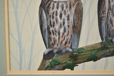 Lot 149 - *Mark Chester (b.1960), acrylic - Young Tawny's, signed, label verso, 26cm x 38cm, in glazed frame