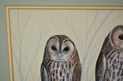 Lot 149 - *Mark Chester (b.1960), acrylic - Young Tawny's, signed, label verso, 26cm x 38cm, in glazed frame