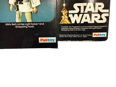 Lot 100 - Palitoy Star Wars Luke Skywalker action figure 11 3/4", in window box No.33326