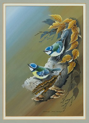 Lot 1294 - Terance James Bond (1946-2023) gouache - Pair of Blue Tits on a Branch, signed and dated '73, 34cm x 24cm, in glazed gilt frame