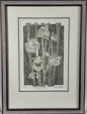 Lot 314 - Valerie Thornton, British, 1931-1991. Etching and coloured aquatint on heavy wove paper, “Helleborus Niger”. Titled, numbered 13/75, signed and dated 1981 in pencil to margin. Overall including fra...