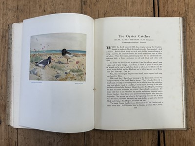 Lot 1195 - Wildlife related: Birds Ashore and Aforeshore by Patrick Chalmers, illustrated by Winifred Austen, Archibald Thorburn illustrated volumes and others (9)