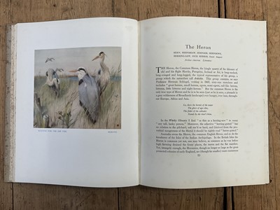 Lot 1195 - Wildlife related: Birds Ashore and Aforeshore by Patrick Chalmers, illustrated by Winifred Austen, Archibald Thorburn illustrated volumes and others (9)