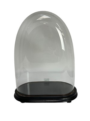 Lot 1220 - Antique glass dome on ebonised base, 41cm high, overall 45cm