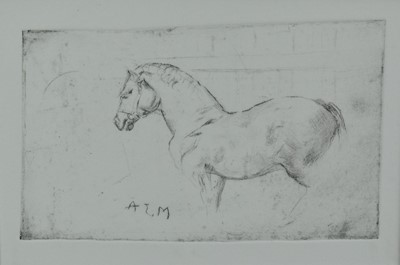 Lot 1202 - *After Sir Alfred Munnings (1878-1959) etching - A Heavy Horse, plate size 10cm x 17cm, in glazed frame