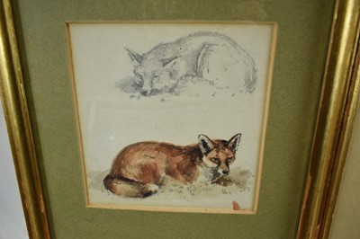 Lot 1286 - William Woodhouse (1857-1939) pencil and watercolour sketch, A Fox, 13.5cm x 12.5cm, together with another sketch of a kangaroo, 16.5cm x 12cm, in glazed gilt frames