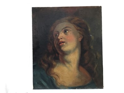 Lot 81 - Continental School, oil on canvas laid on board - Classical Female, 52cm x 45cm, unframed