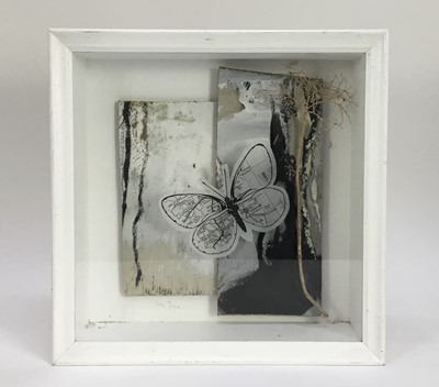 Lot 99 - Steve Joyce, contemporary, mixed media - 'In Nature', signed, inscribed verso, in deep glazed case/frame, 33.5cm square x 10cm deep