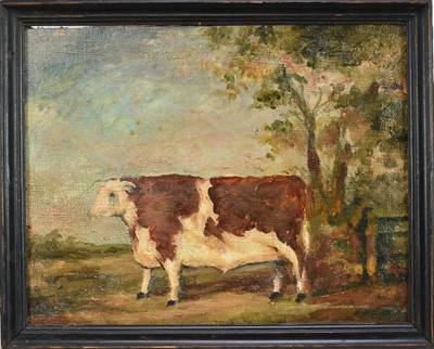 Lot 1506 - English School, oil on canvas - A Hereford Bull, 23.5cm x 30.5cm, framed