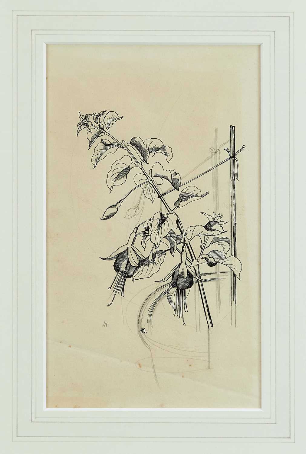 Lot 1376 - *John Nash (1893-1977) pencil and ink drawing - "Fuschia"
Provenance: The Nash Estate