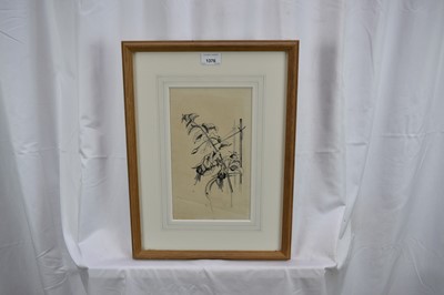 Lot 1376 - *John Nash (1893-1977) pencil and ink drawing - "Fuschia"
Provenance: The Nash Estate