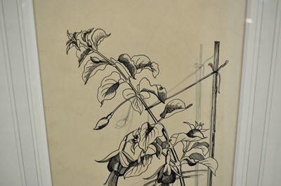 Lot 1376 - *John Nash (1893-1977) pencil and ink drawing - "Fuschia"
Provenance: The Nash Estate