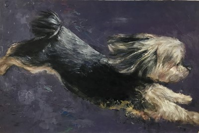 Lot 310 - Contemporary oil on panel of a Yorkshire Terrier