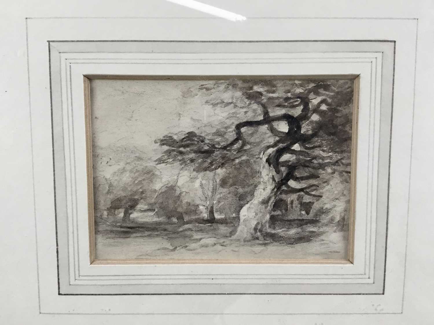 Lot 67 - David Cox (1783-1859), monochrome watercolour, Trees, 9cm x 12cm, in glazed frame. Rowley Gallery stamp verso