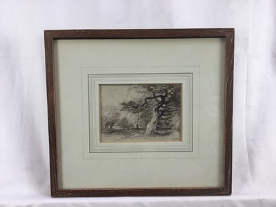 Lot 67 - David Cox (1783-1859), monochrome watercolour, Trees, 9cm x 12cm, in glazed frame. Rowley Gallery stamp verso