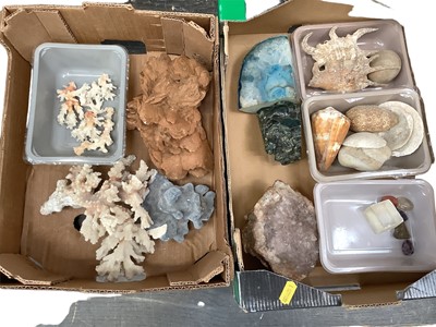 Lot 2447 - Two boxes of minerals and fossils