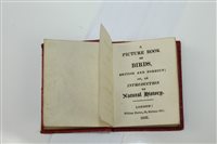 Lot 2570 - Books - A Picturesture Books of Birds, British...