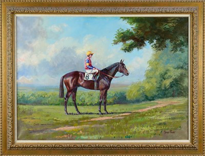 Lot 1020 - James Power (b.1946) oil on canvas - portrait of a bay colt ‘Crail’, signed and inscribed, in gilt frame