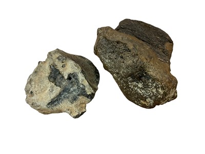 Lot 2623 - Fossils - Iguanodon dinosaur toe claw and rib bone segment circa 112-120 MYA (Ex Isle of Wight) (2 items)