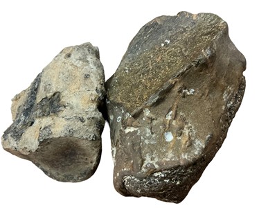 Lot 2623 - Fossils - Iguanodon dinosaur toe claw and rib bone segment circa 112-120 MYA (Ex Isle of Wight) (2 items)