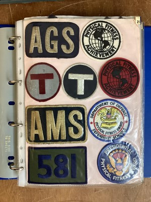 Lot 766 - Four albums of American Air Force military cloth badges to include rank insignia (4 albums)