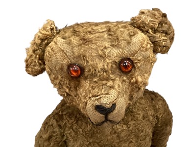 Lot 1769 - Teddy bear with curly mohair , shaved snout, small hump, wood wool stuffing, disc joints.