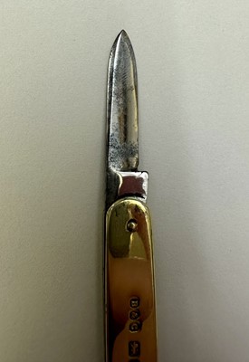 Lot 66 - Good quality Edwardian silver gilt penknife, the pair of knives marked Asprey, (Sheffield 1902), makers mark Brookes & Crookes, 12cm when open, 6cm closed