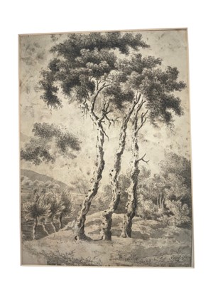 Lot 3 - Attributed to Francis Towne (1739-1816), pen and ink and monochrome wash, landscape, 28 x 20cm, signed with initials, dated and inscribed to rear 'From Nature FT 1776' (paper has been laid down so...