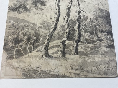 Lot 3 - Attributed to Francis Towne (1739-1816), pen and ink and monochrome wash, landscape, 28 x 20cm, signed with initials, dated and inscribed to rear 'From Nature FT 1776' (paper has been laid down so...