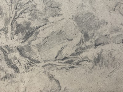 Lot 24 - Manner of David Cox (1783-1859) pencil, landscape with tree and rocks, 34 x 47cm, mounted but unframed